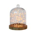 Round Glass Muffin Dome