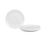 Smooth and Glossy Opal Glass Dome