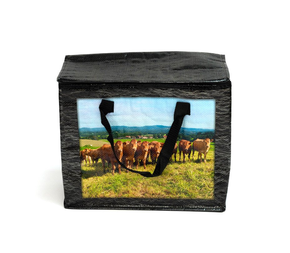 Non-woven &canvas bags