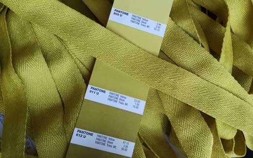 12492090615728506522