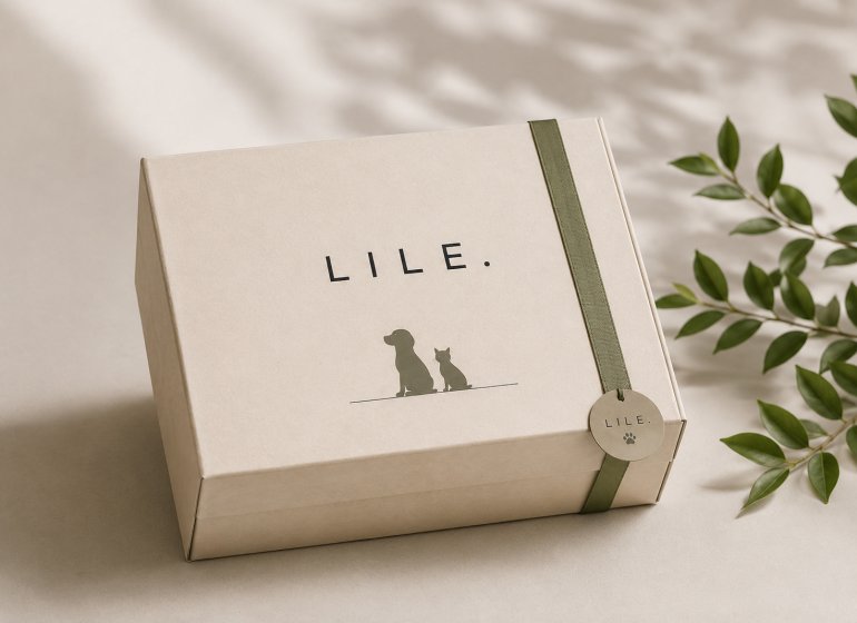 Pet_Gift_Box_Design_Solution