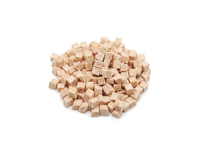 FF02A crocodile with chicken cube