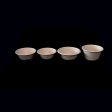 Medium-sized BPA-free bowl for restaurants