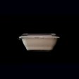 Sustainable 24OZ bowl for catering