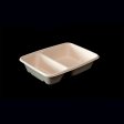 26g lightweight compostable meal box