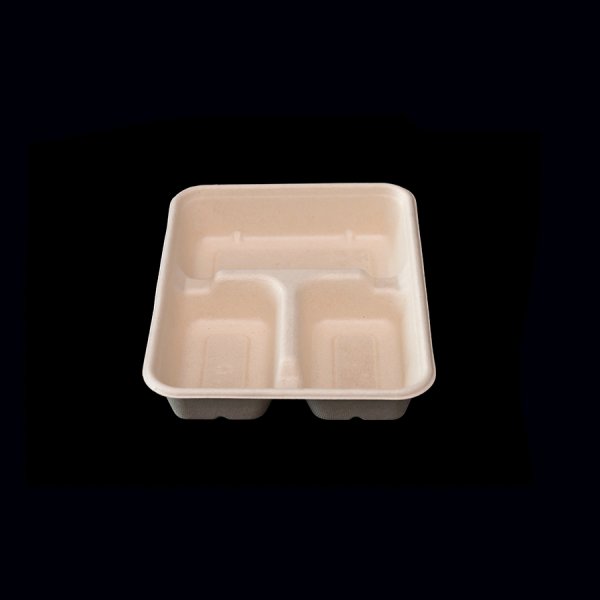 Kleine Box mit 3 Fächern