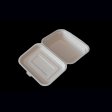 Eco-friendly bagasse container