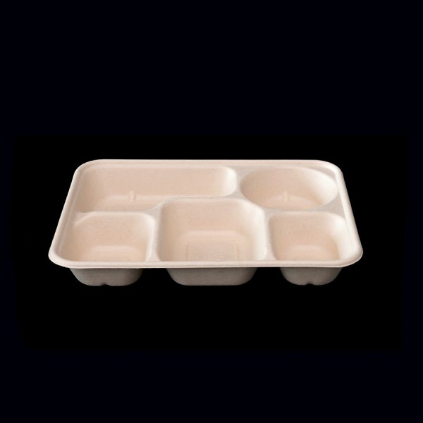 5-Fächer-Box