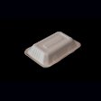 sustainable pasta container for catering