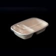 Sustainable takeout container for restaurants