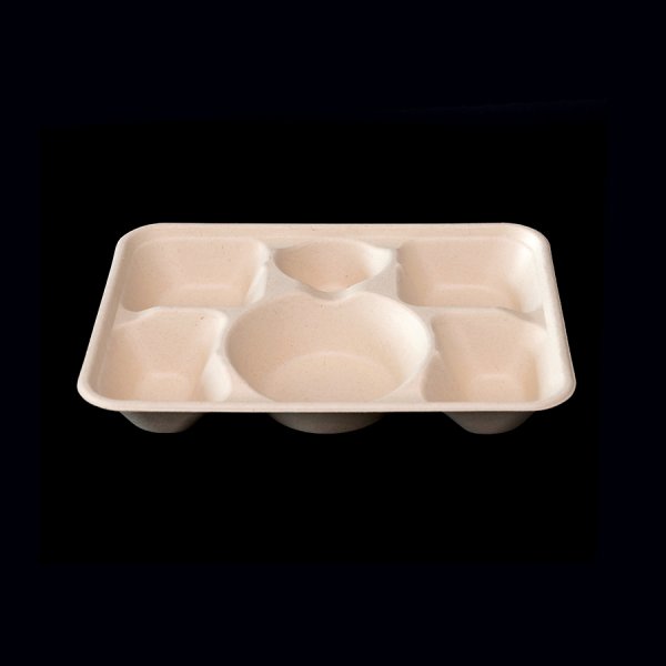 6-Fächer-Box
