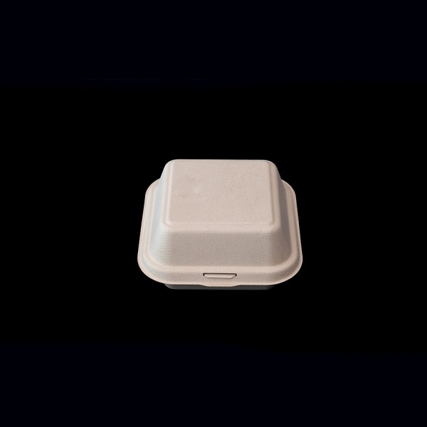 6-Zoll-Box