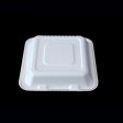 lightweight bagasse lunch box for picnics