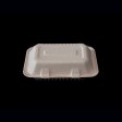 eco-friendly pasta lunch container