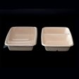 Renewable plant-based bagasse material