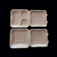 Compostable 8” Box with salad and grains