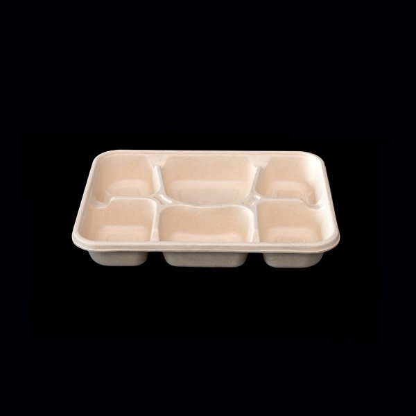 6-Fächer-Box