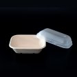 Lightweight sustainable bagasse container