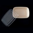 BPI certified compostable lunch box