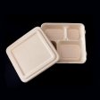 Camping lunch box with secure lid