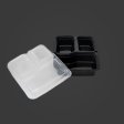 Sustainable food packaging bento box RP-330