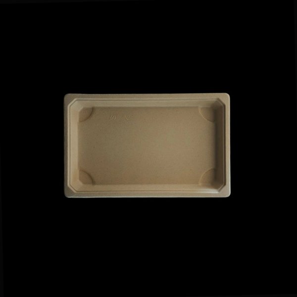 Sushi-Tablett 09