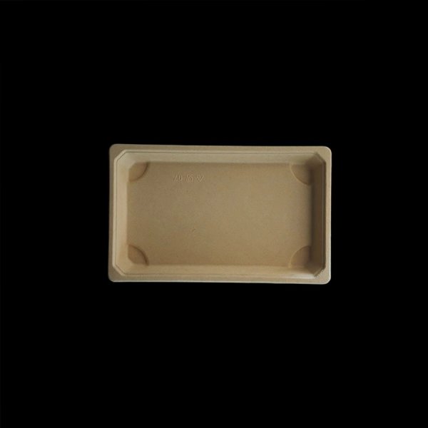 Sushi Tablett 07