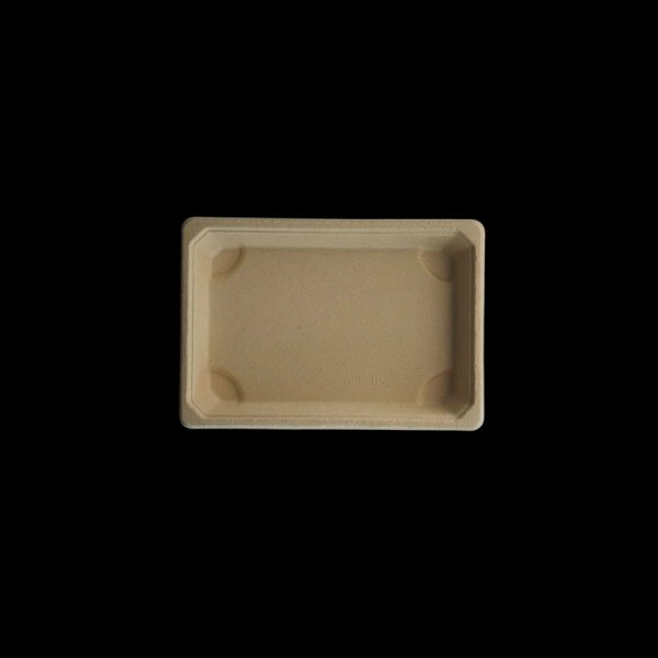 Sushi Tablett 05