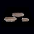 Compostable oval bowl for rice and curry dishes
