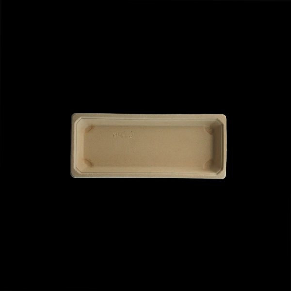 Sushi Tablett 02