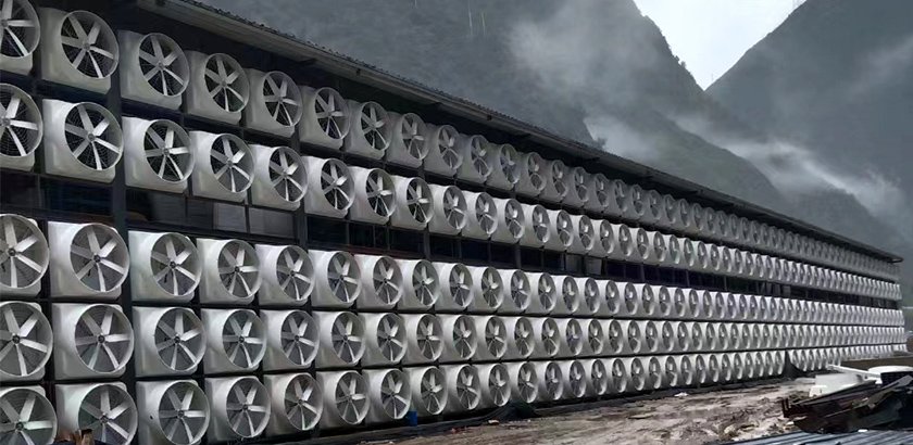 Ventilation Engineering for Large-Scale Breeding: FRP Fan Systems