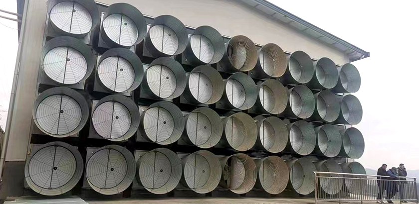 Modernized Ventilation System Upgrade Project for Livestock and Poultry Housing