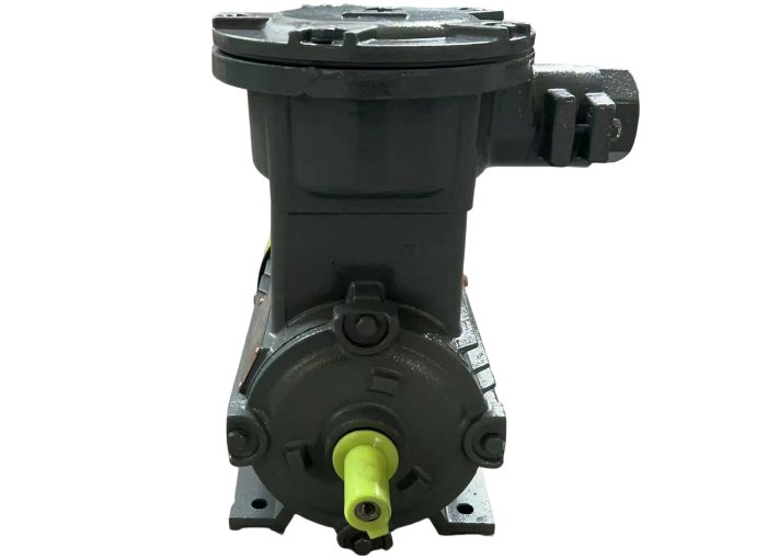 Professional Explosion-Proof Motor