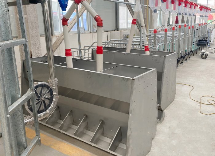 Disc Chain Feeding System,Pig farm automatic feeder
