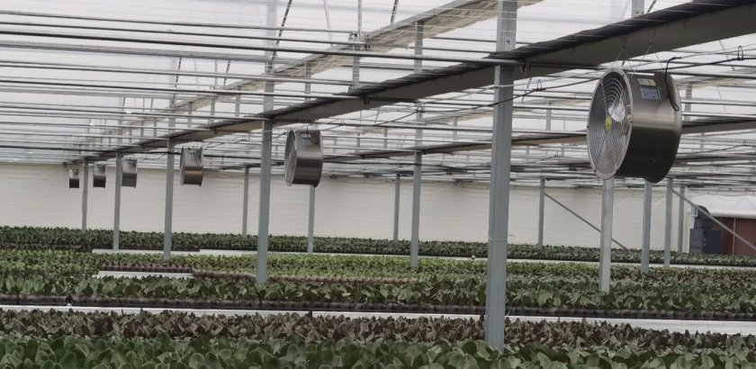 Why Stainless Steel Matters: Choosing the Right Air Circulator for Your Farm