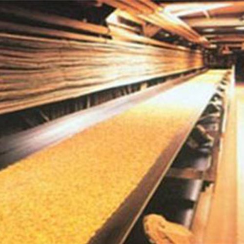 Oil Resistant Conveyor Belt