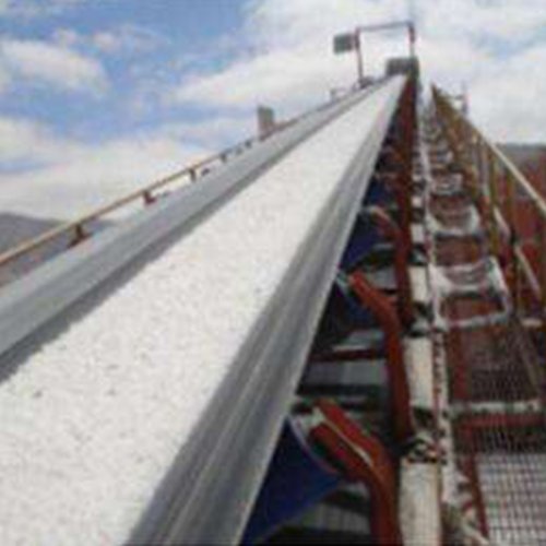 Chemical Resistant Conveyor Belt