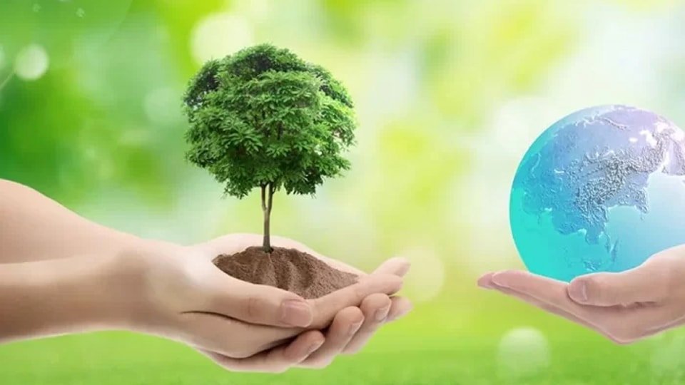 Protección del Medio Ambiente
