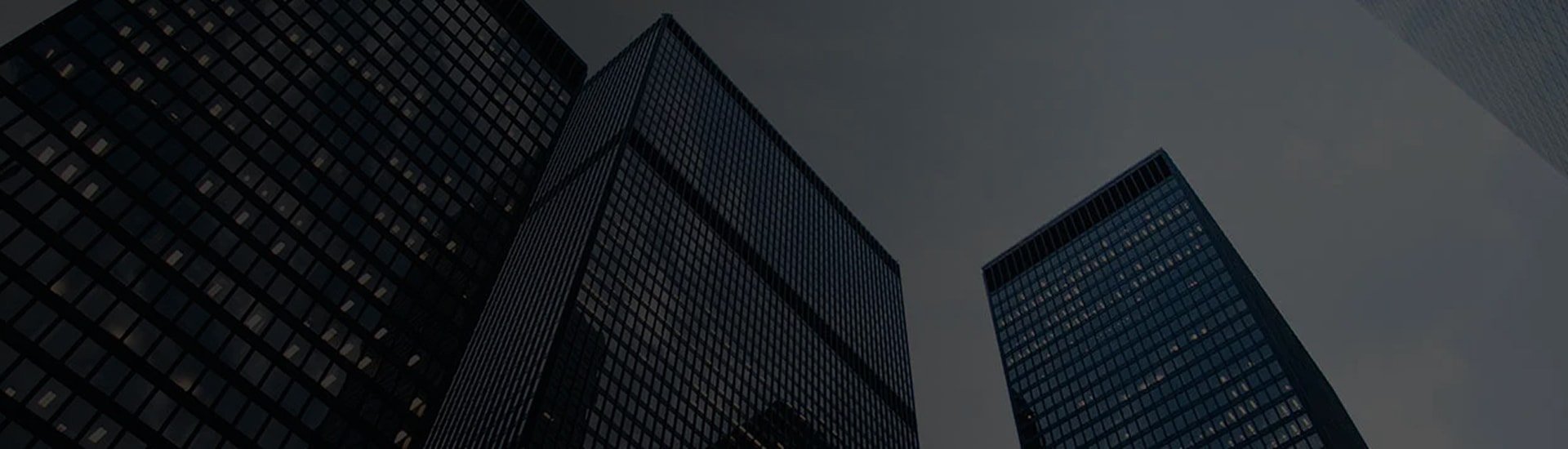 promise-service-banner