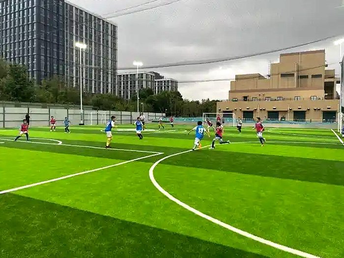 Safe and low-maintenance sports turf for football