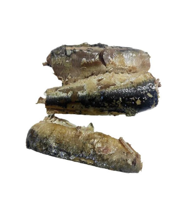 Canned sardine in oil