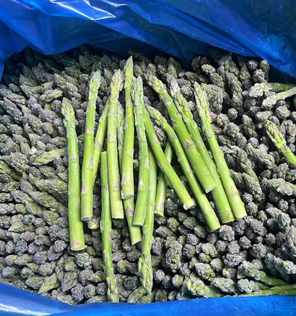 Frozen green asparagus