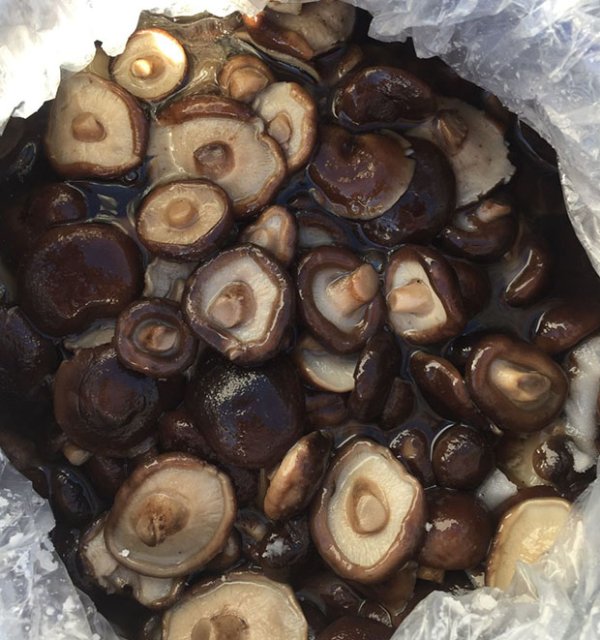 Brined shiitake whole in drum