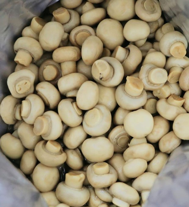 light brine canned small mushrooms