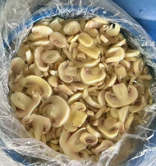 Preserved mushroom  slices in drum