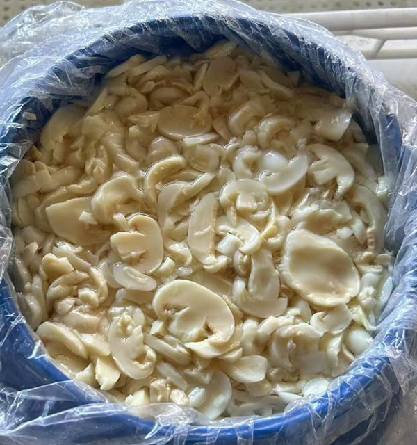 Brined mushroom  pieces & stems in drum