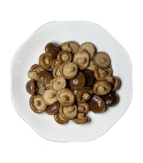 shiitake mushrooms preserved in salt water