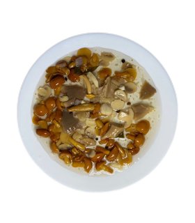 mixed mushrooms in glass jar