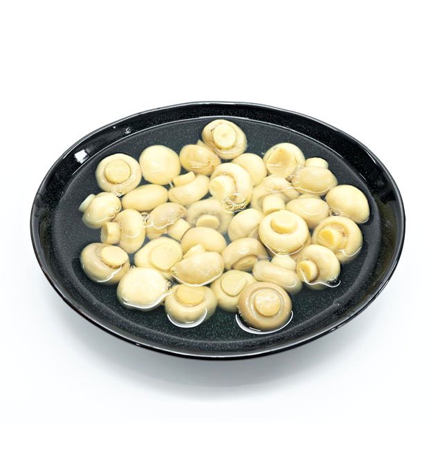 bulk canned champignon mushrooms for export