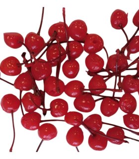 bright red canned cherries on plate